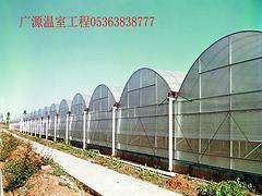 优质的圆拱型连栋温室推荐_圆拱型蔬菜大棚造价(圆拱型连栋温室,)--青州市广源温室工程有限公司